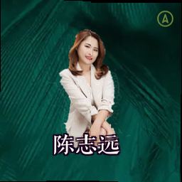 陈志远